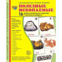 Дем. картинки Полезные ископаемые