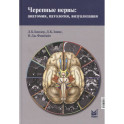 Черепные нервы: анатомия, патология, визуализация