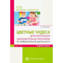 Цветные чудеса. Дополнительная образовательная программа по изобразительной деятельности. Старшая группа