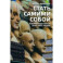Стать самим собой. Избранные статьи 2010-2015 годов
