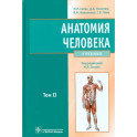 Анатомия человека: Учебник. В 2 томах. Том 2