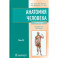 Анатомия человека: Учебник. В 2 томах. Том 2