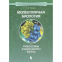 Молекулярная биология. Рибосомы и биосинтез белка