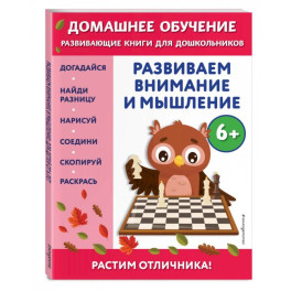 Развиваем внимание и мышление. Для детей от 6 лет