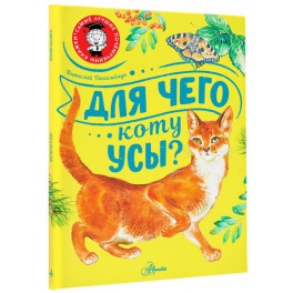 Для чего коту усы?