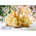 Календарь настенный на 2023 год, перекидной. Кролик