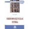 Южнофранцузская готика. Монография