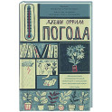 Погода