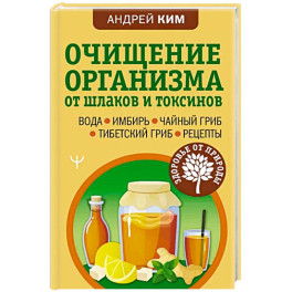 Очищение организма от шлаков и токсинов. Вода. Имбирь. Чайный гриб. Тибетский гриб. Рецепты