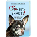 Пес его знает! Что в голове у собаки, и как понять причины ее поведения