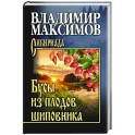Бусы из плодов шиповника