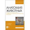 Анатомия животных. Неврология. Особенности строения домашней птицы. Практикум