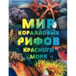 Мир коралловых рифов Красного моря