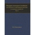 Подарок молодым хозяйкам или средство к уменьшению расходов в домашнем хозяйстве. Часть 2