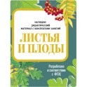 Листья и плоды. Наглядно-дидактический материал