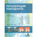Регенерация пародонта