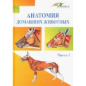Анатомия домашних животных. Учебник. Часть 1