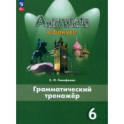 Английский язык. 6 класс. Грамматический тренажер. Английский в фокусе
