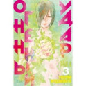 Огненный удар 3. Книги 5-6
