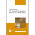 Практикум по патологической анатомии животных. Учебное пособие для вузов