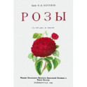 Розы