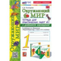 Окружающий мир. 1 класс. Тетрадь для практических работ к учебнику А. А. Плешакова. Часть 1