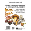Самые распространенные и вкусные грибы России: как правильно отличить, собрать и приготовить