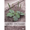 Цветы пустыни: сборник эссе и интервью (Умка, Рада, Манагер, А. Чернецкий...)