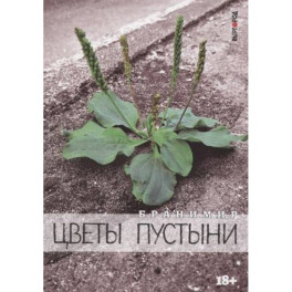 Цветы пустыни: сборник эссе и интервью (Умка, Рада, Манагер, А. Чернецкий...)
