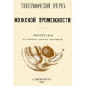 Топографический очерк мужской промежности