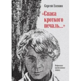 "Спаса кроткого печаль..." Избранная православная лирика