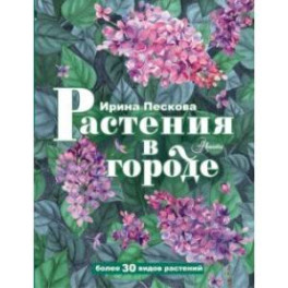 Растения в городе