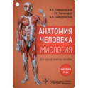 Анатомия человека. Миология. Комплект карточек. Наглядное учебное пособие