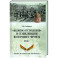 "Великое отступление" и стабилизация Восточного фронта. 1915