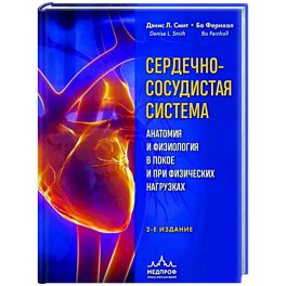 Сердечно-сосудистая система. Анатомия и физиология в покое и при физических нагрузках