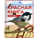 Красная книга Москвы. Детям о редких животных, растениях и грибах столицы