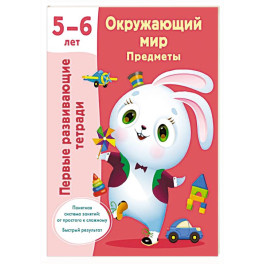 Окружающий мир. Предметы. 5-6 лет