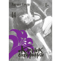 Клинок бессмертного. Том 14