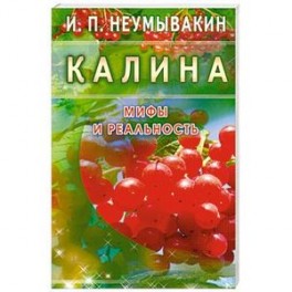 Калина. Мифы и реальность