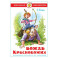 Вождь краснокожих