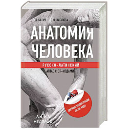 Анатомия человека: Русско-латинский атлас с QR-кодами