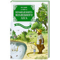 Большая книга Волшебного леса. Все приключения в одном томе