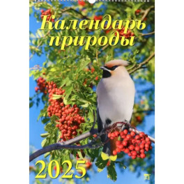 Календарь настенный на 2025 год Календарь природы