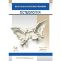 Визуальная анатомия человека. КАРТОЧКИ. Остеология. 51 шт.