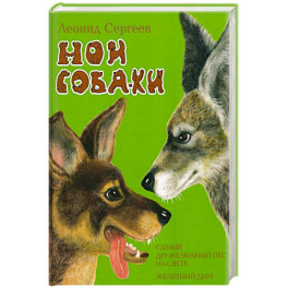 Мои собаки