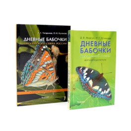 Дневные бабочки России