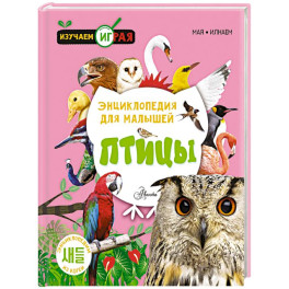 Птицы