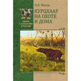 Курцхаар на охоте и дома