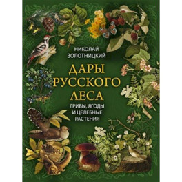 Дары русского леса. Грибы, ягоды и целебные растения