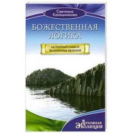 Божественная Логика. Истинный смысл жизненных явлеений